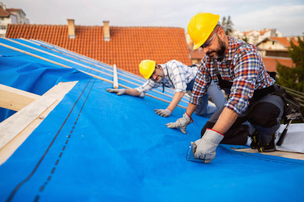 Best Roof Gutter Cleaning  in Hubbard, OR